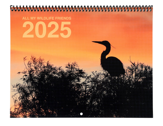 All My Wildlife Friends 2025 Calendar