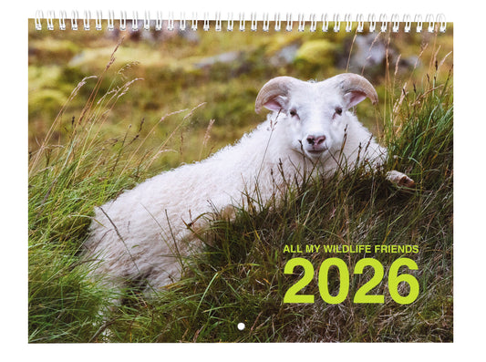 All My Wildlife Friends 2026 Calendar