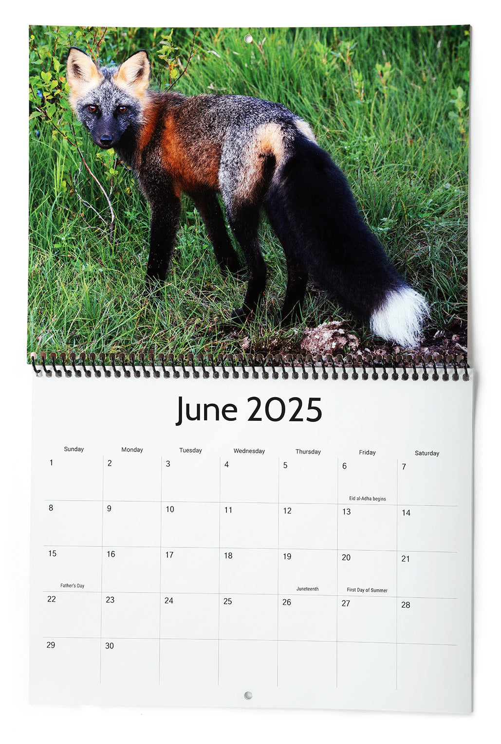 All My Wildlife Friends 2025 Calendar