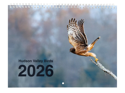 Hudson Valley Birds 2026 Calendar